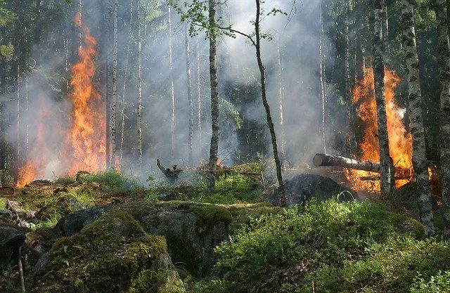 Ordinanza Divieto di accesso agli immobili interessati dall’incendio